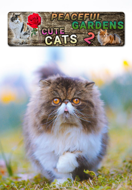 Peaceful Gardens 2: Cute Cats